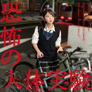 女子校生ハメ撮り、人体実験で意識が飛ぶまで蹂躙される地獄の記録 パッケージ画像