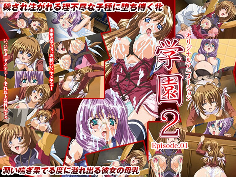 高潔な委員長が牝奴隷へ…スク水×緊縛の揺れが異常な学園アニメ神作 パッケージ画像